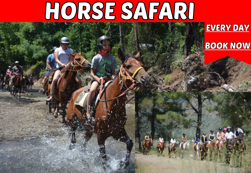 Marmaris Horse Safari